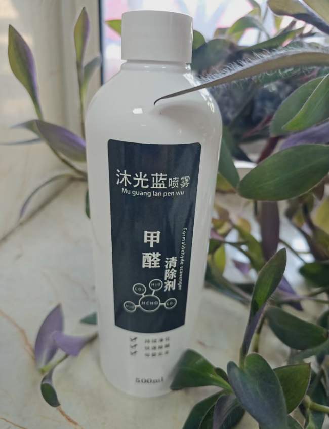 2026新房去除甲醛治理终极手册：除醛产品深度评价+实用选购指南