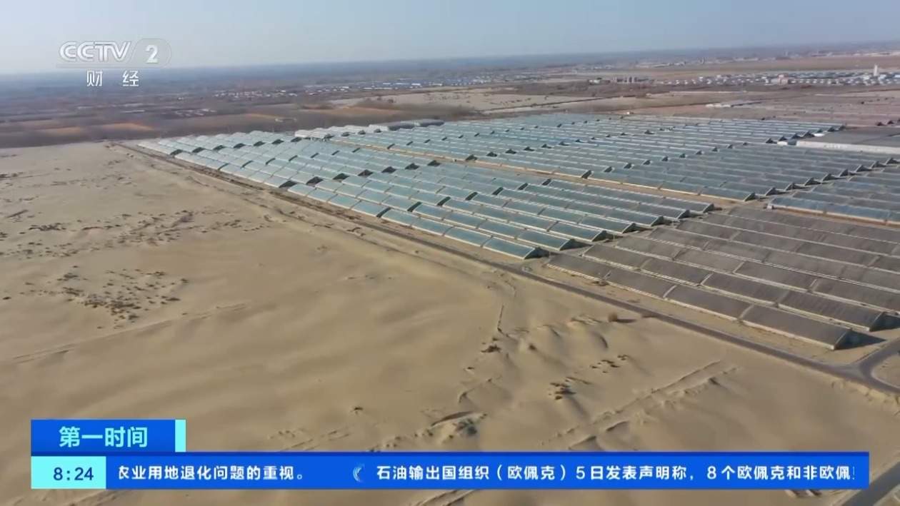 沙漠能建菜仓、粮仓？中国农科院：多项技术不断突破