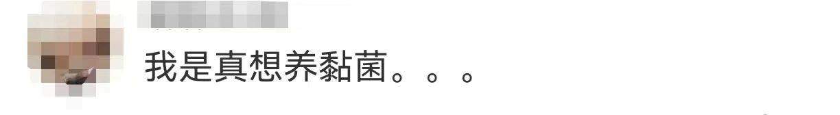 “这是什么东西？”家长傻眼：孩子竟然要养它？