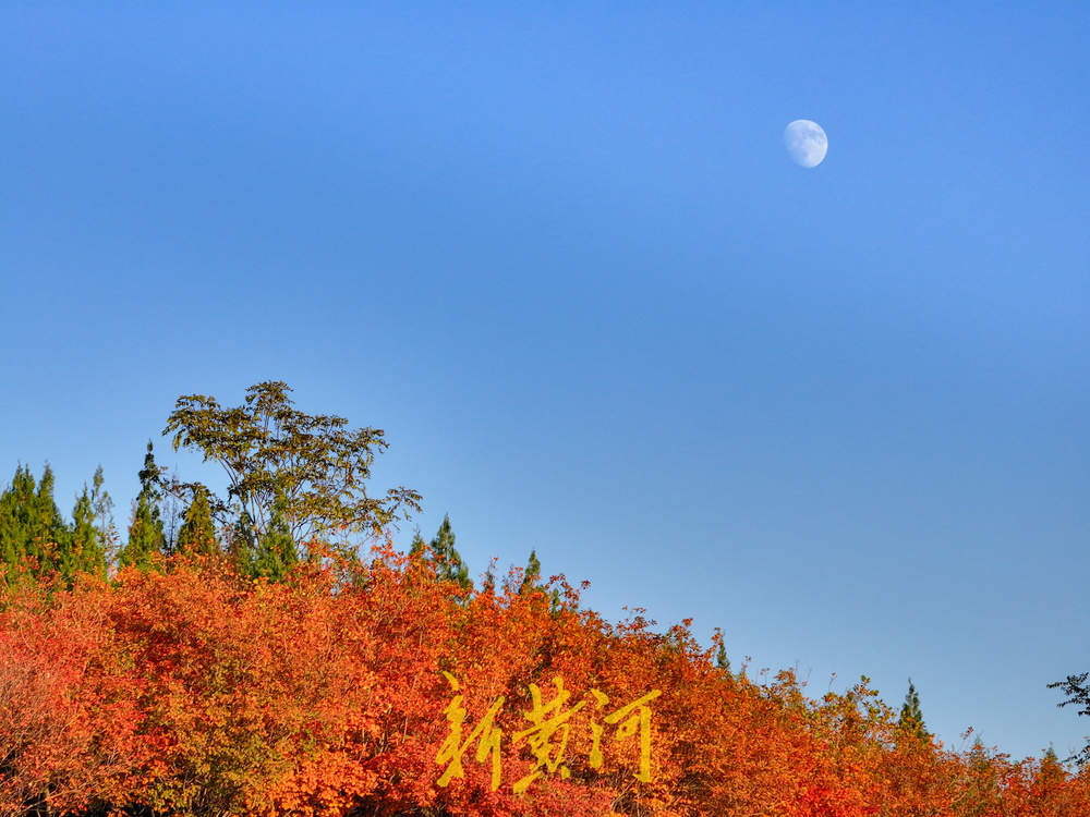 五彩斑斓入画来！卧牛山秋日氛围感拉满
