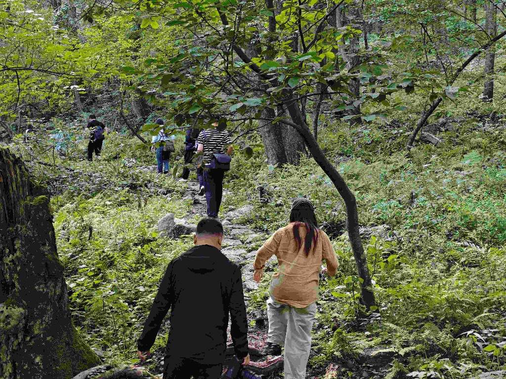 聚力数智赋能 焕新电商未来｜驰骋G334山河廊道 解锁吉林振兴的电商密码