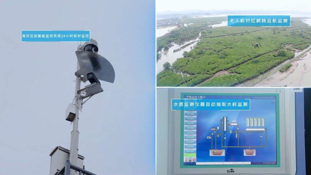 新华视点｜创新驱动 数智领航——以科技创新引领产业创新一线观察