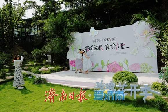 城“新”乡“兴”向未来｜走进莱芜区：红绿交融的乡村振兴之路