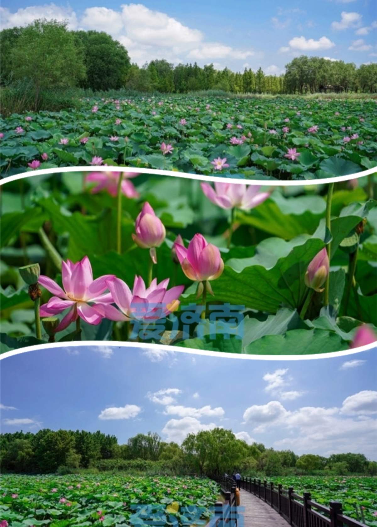 “暑”不尽的新玩法！一键解锁泉城“夏日副本”