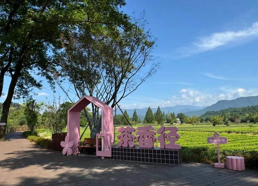 茶香武夷·“星”火燎原|2025武夷山茶足径业态招商推介会火热报名中