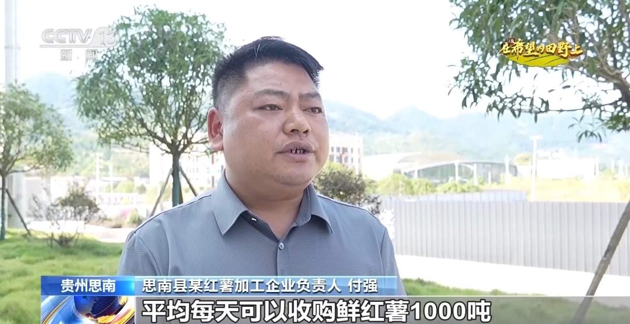 全国秋粮收获进入高峰期 各地采收进行中→