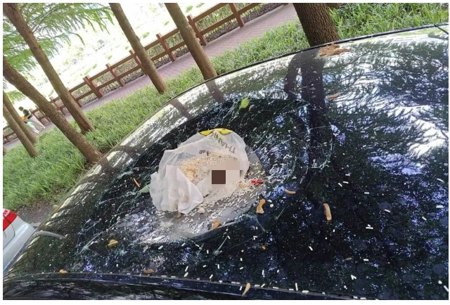 男子高空抛垃圾砸碎轿车天窗，事后向AI“请教”对策！警方：已刑拘
