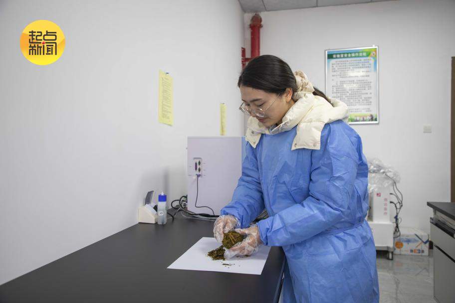 新春走基层丨秦岭深处的“熊猫妈妈”