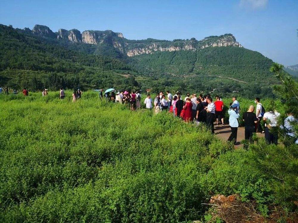 带孩子去田野！济南10处研学基地开启四季农耕之旅