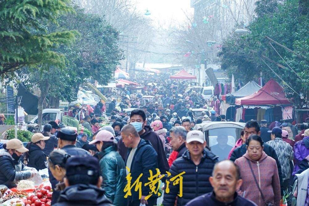 时令野菜抢“鲜”上市，市民争尝春日第一口鲜