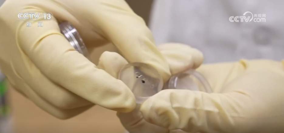 我国发现月球新矿物“铈镁嫦娥石” 中国式浪漫都藏进名字里