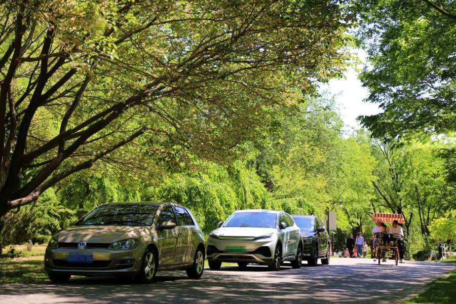 济南公园假期接待游客82.67万人次