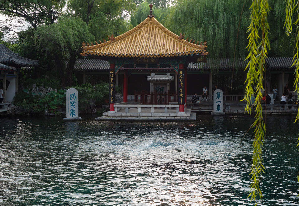 趵突泉游客留影的“黄金点位”，如今被垂柳枝条挡住了