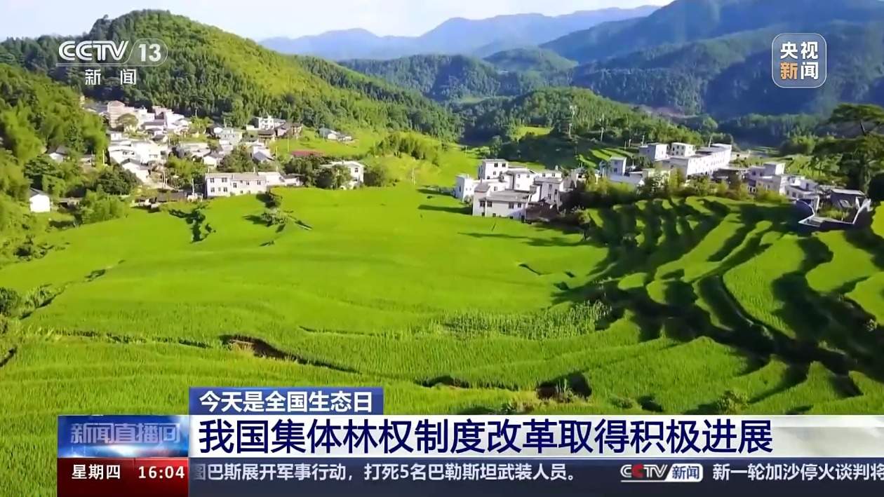 我国森林覆盖率超24%！还有这两项数据，居世界第一