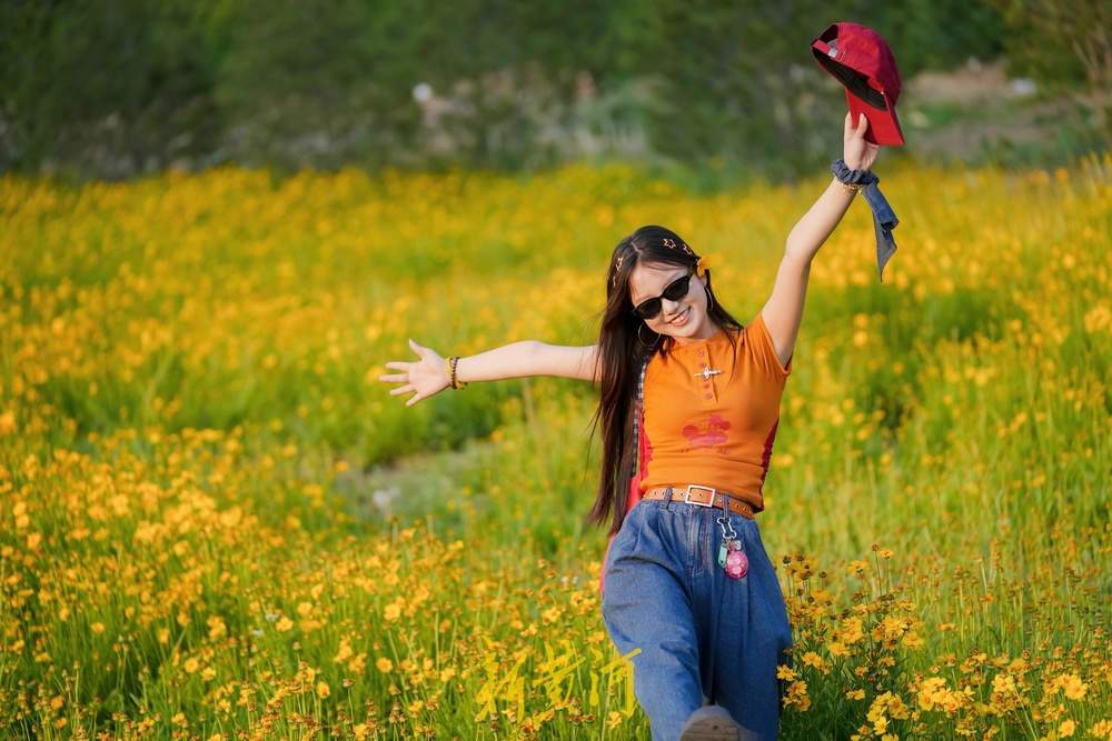 难忘大学时光，金鸡菊花海见证青春谢幕礼