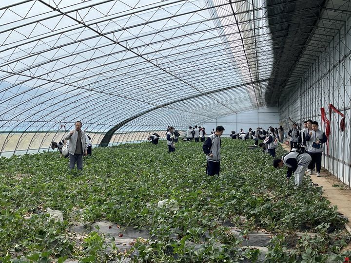 章丘四中师生到官庄街道开展"走进吴家村,探寻乡村振兴"地理实践活动