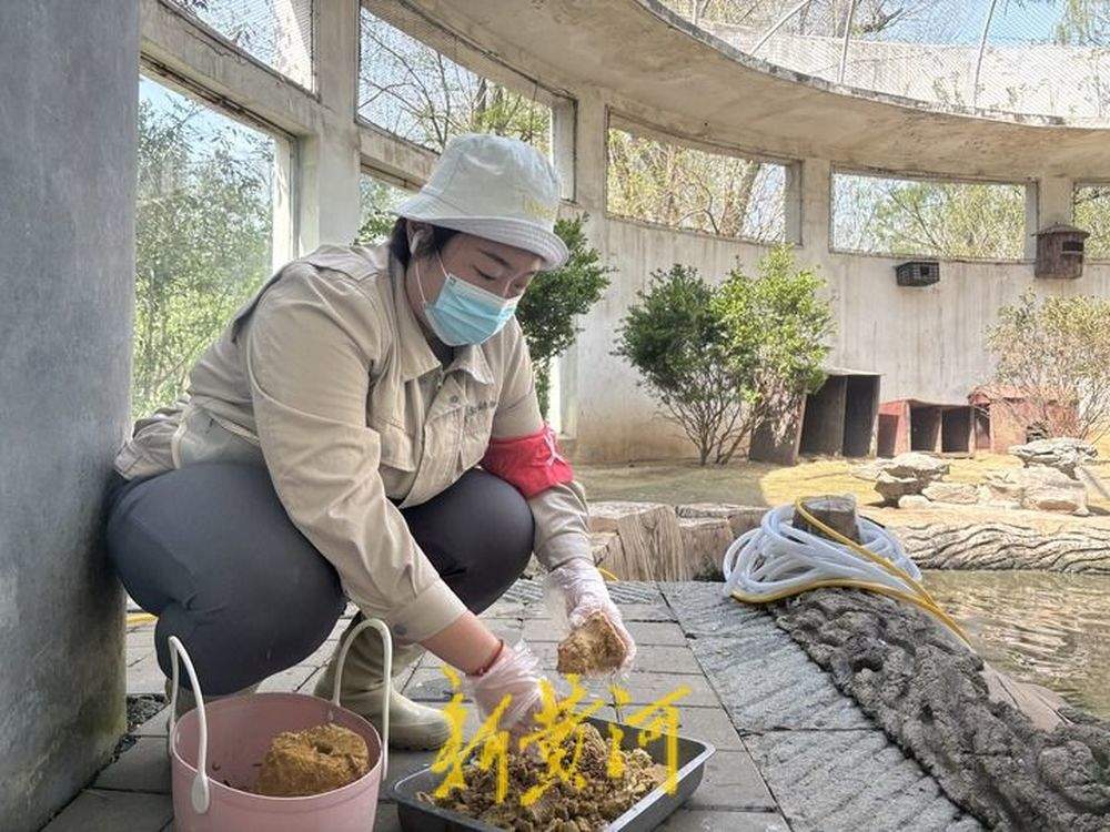 90后动物园饲养员赵亮：“像爱护家人一样爱护鸟儿”