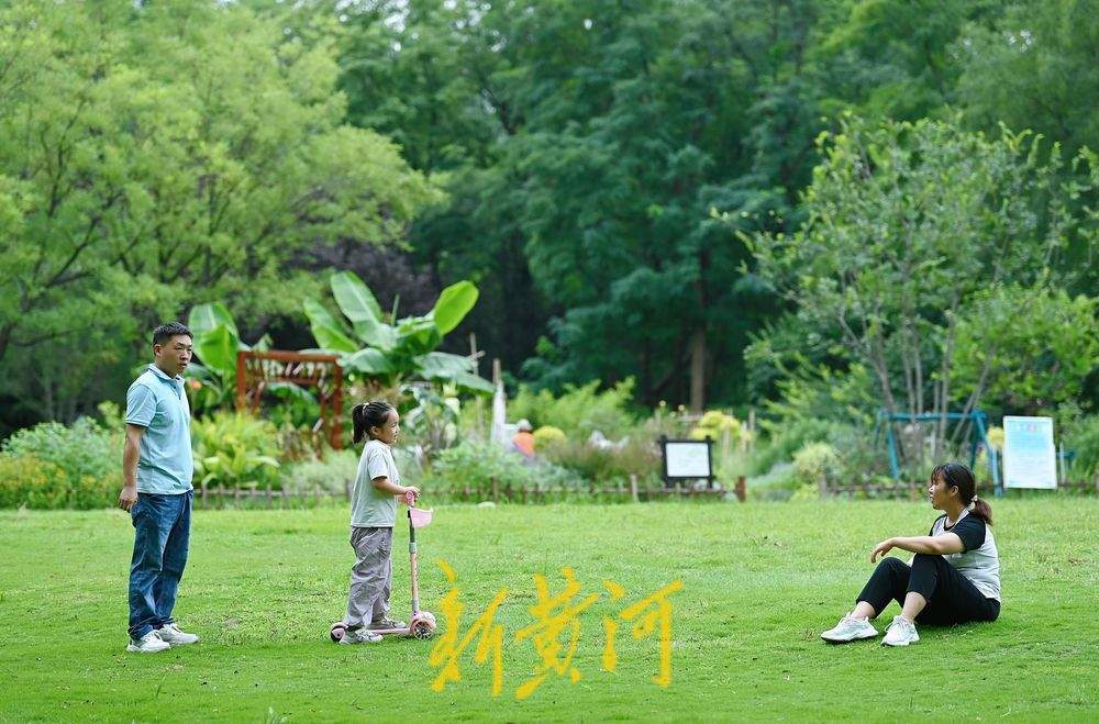 雨后漫步森林公园树荫小道 感受初秋的清凉