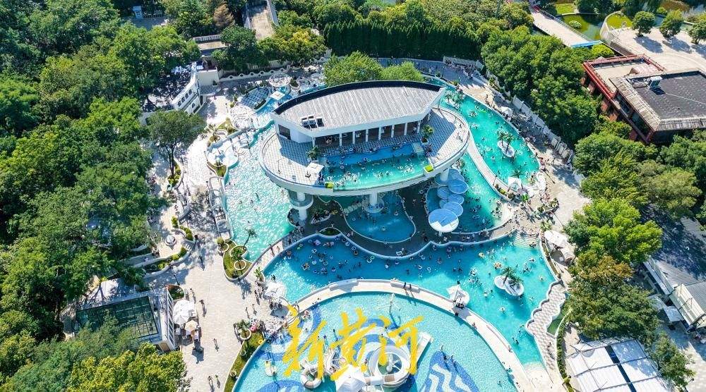 济南市区最大露天泳池开放，开启夏日清凉新体验