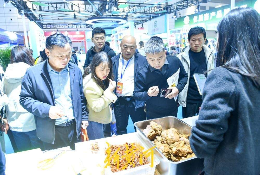 第41届山东畜牧业博览会启幕，600余家企业齐聚泉城