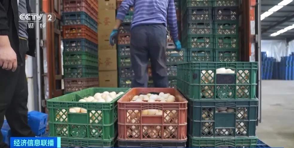 蛋价跌进“3元区”!未来价格怎么走