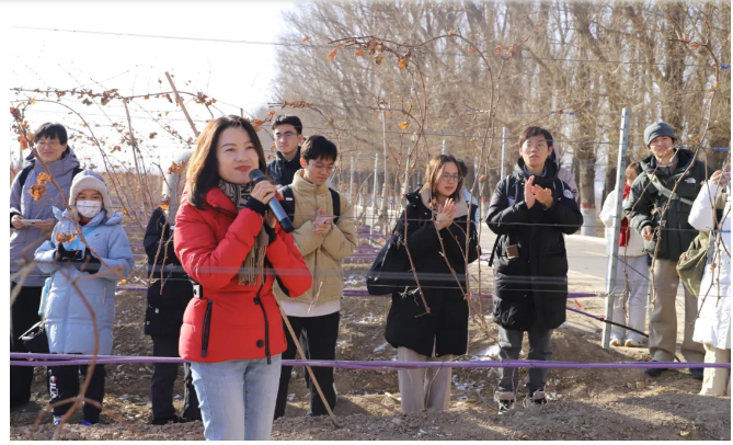 葡萄酒怎么挑选，清北等学子在长城桑干感知人文底蕴