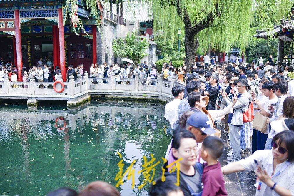 一年四季 泉在济南｜炎炎夏日，来济南赴一场“泉水游”吧