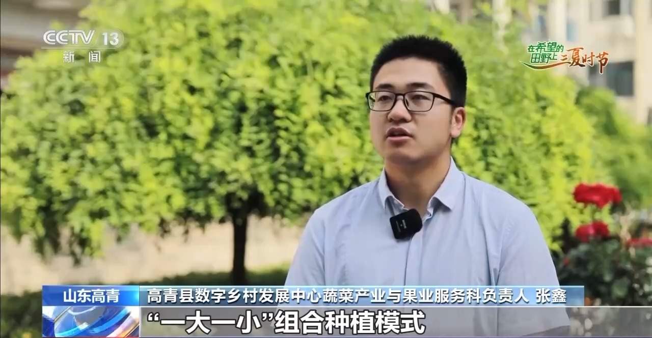 三夏时节迎丰收 小麦、稻虾、西瓜解锁农田增收“密码”