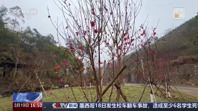 “一把鼻涕一把泪” 花粉过敏可以根治吗?预防指南