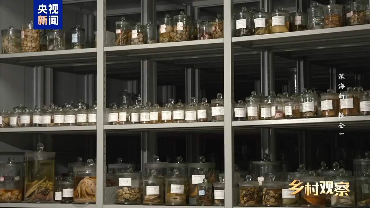 海上“全屋智能”！探访全球首艘三文鱼养殖工船