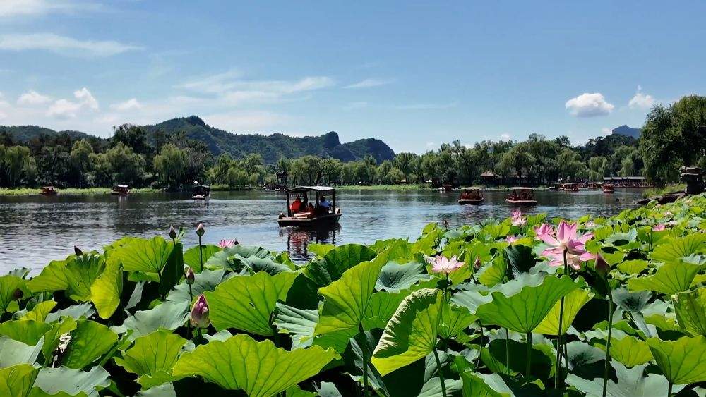 多元文旅绘就暑期画卷 夏日经济点燃消费热潮