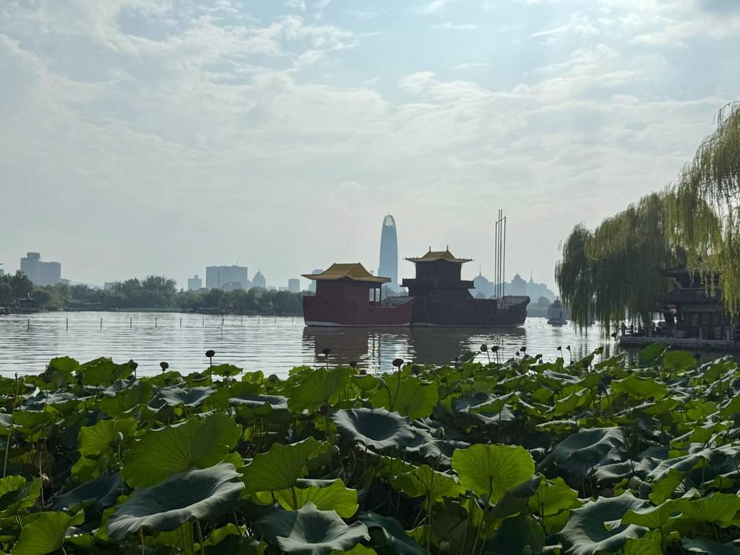 济南大明湖：杨柳依依里，湖光山色新