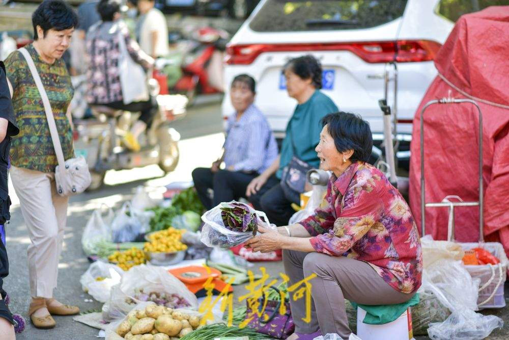 夏季水果“出山进城” 市区里的南山市集火起来