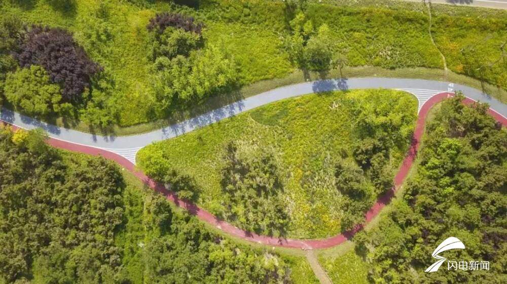 三色绿道绘山海——解码日照海岸线的生态文旅融合样本|青春思政课