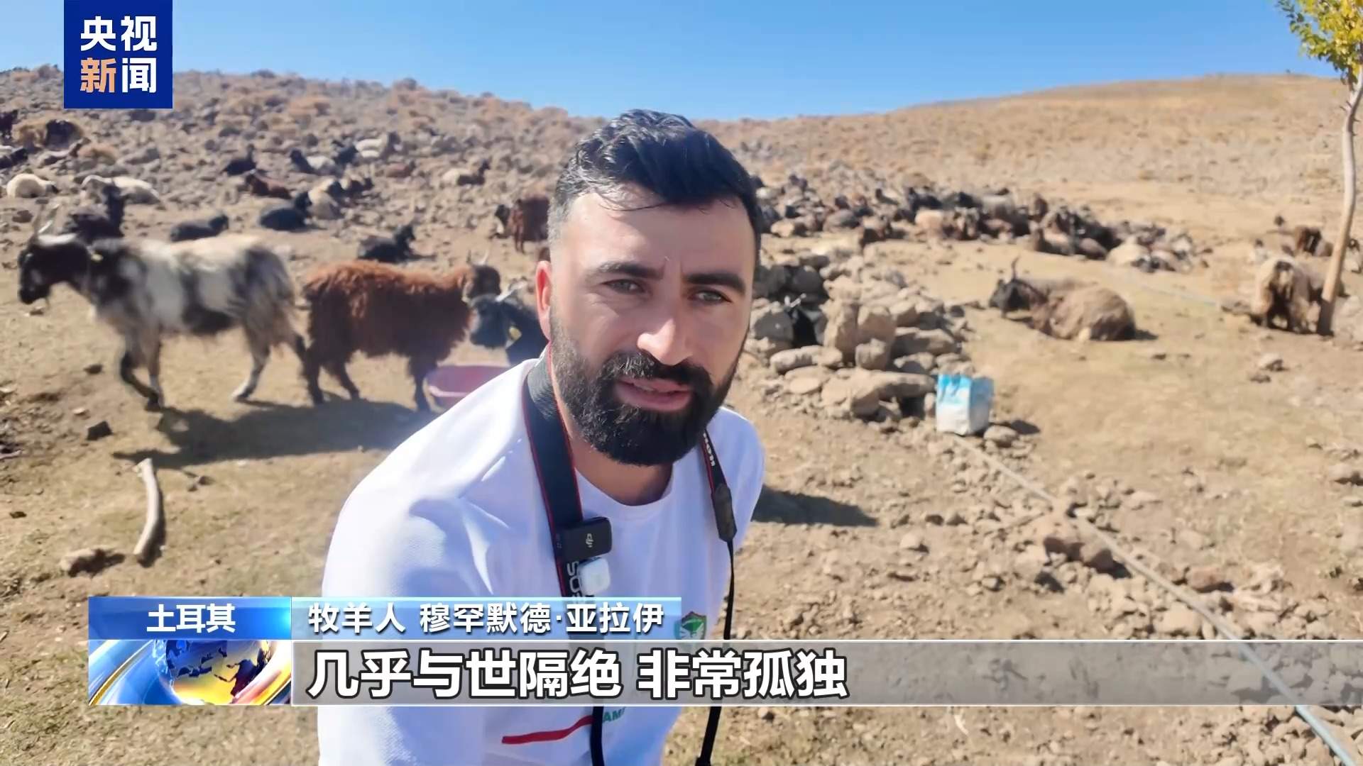 高收入岗位无人问津 土耳其遭遇“牧羊人危机”