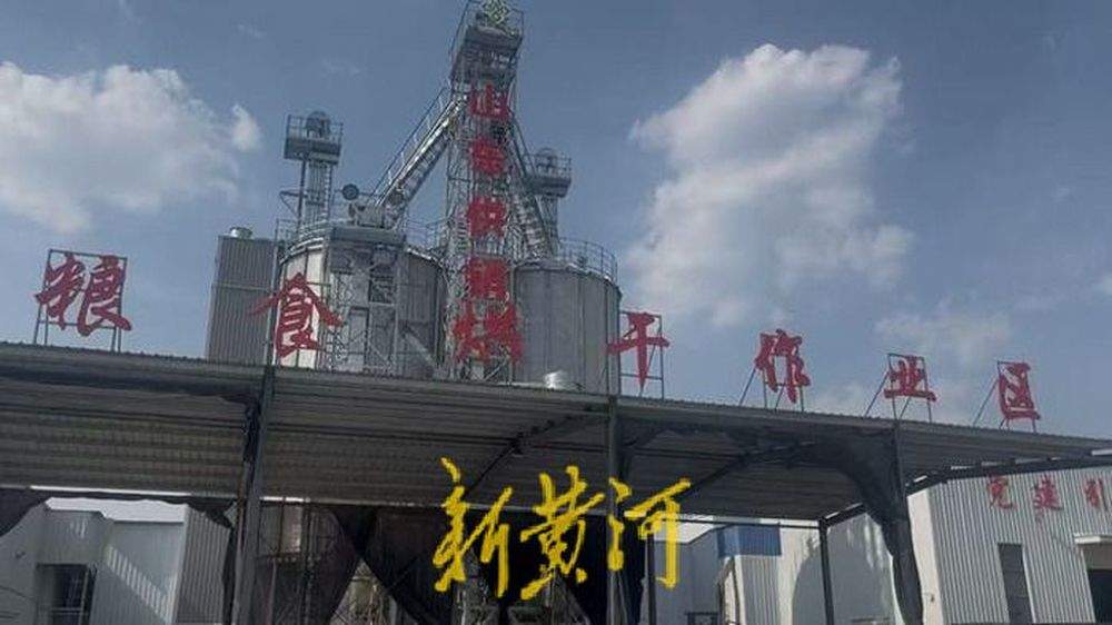 泉城秋收回望图丨技与保！烘干塔里的颗粒归仓