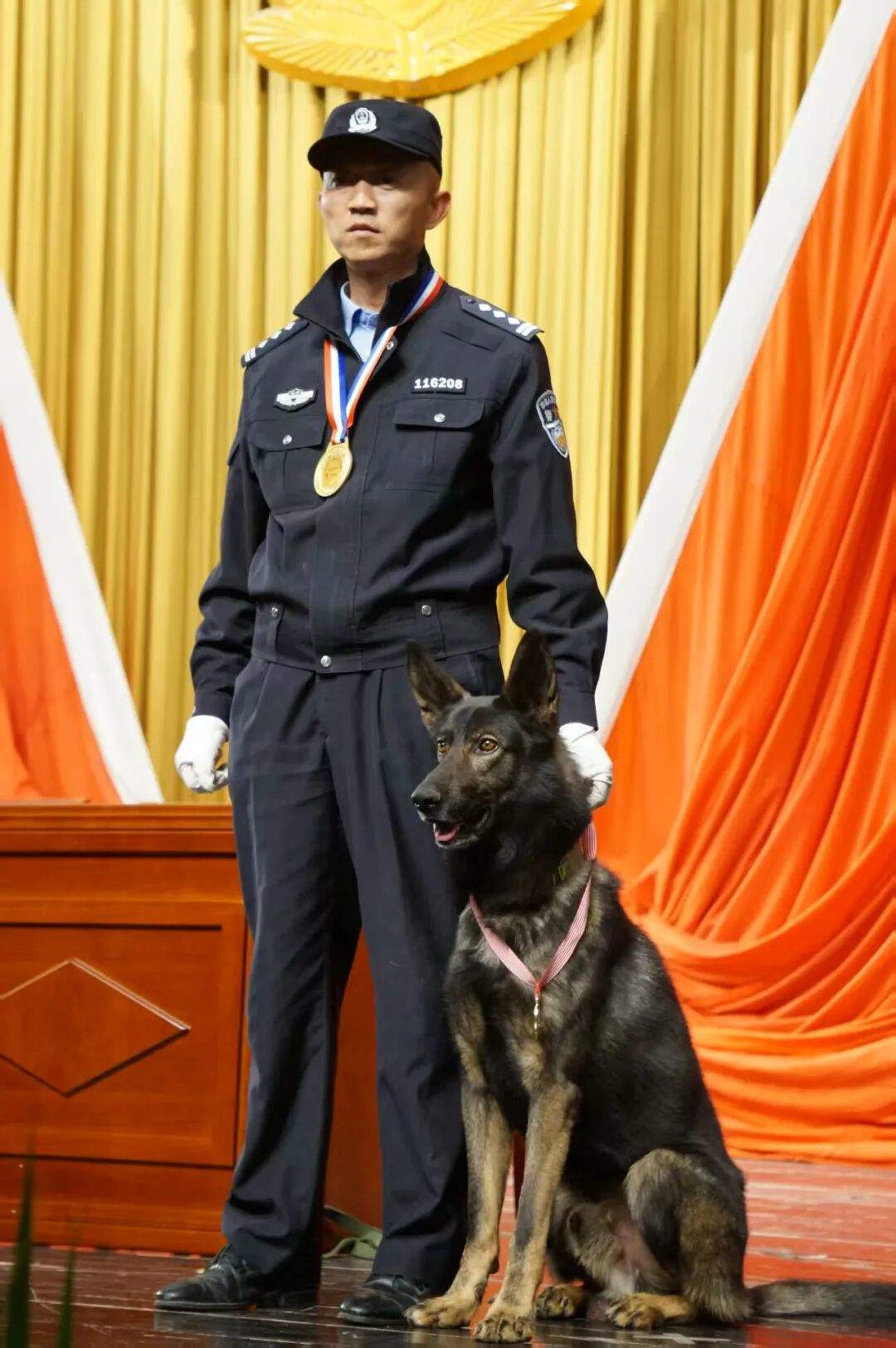 “黑狼” 被选定为中国警犬LOGO形象犬