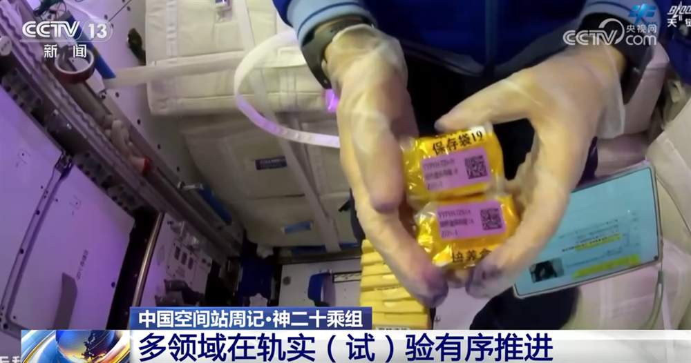 神二十乘组“太空出差之旅”工作Vlog更新 一起看看上周他们干了啥？