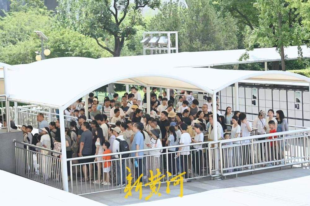 暑期过半热度不减 山东博物馆遮阳通道护航亲子观展