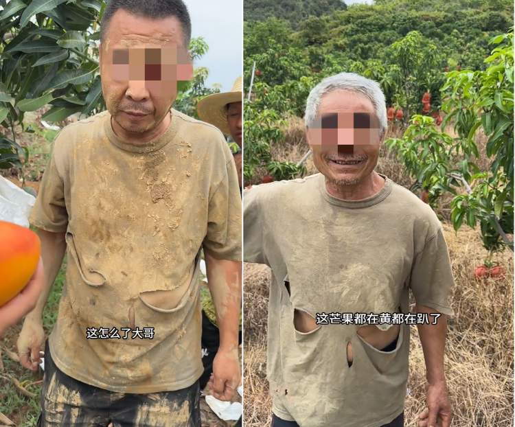 “假悲情”博取“真同情” 虚假助农视频为何屡禁不绝