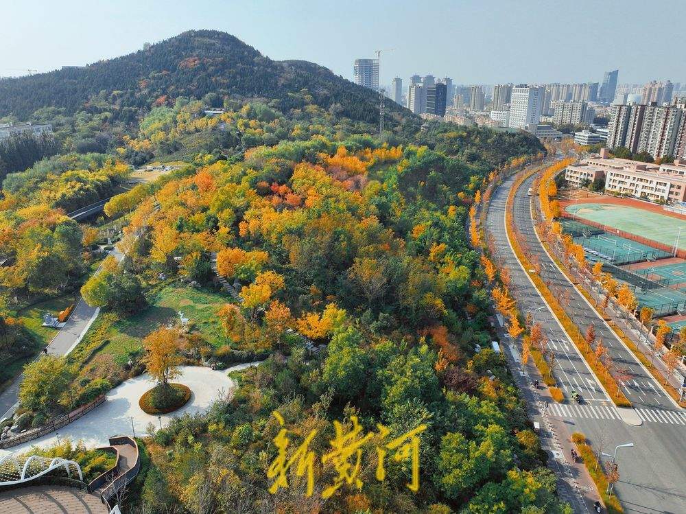 秋色烂漫 济南茂岭山公园层林尽染入画来