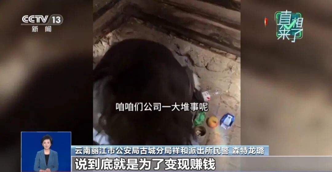 “深山救助流浪女”视频系虚假摆拍，3人被行拘