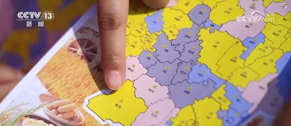 “优化服务+智慧装备” 让农民“少跑路” 确保粮归仓、钱到账