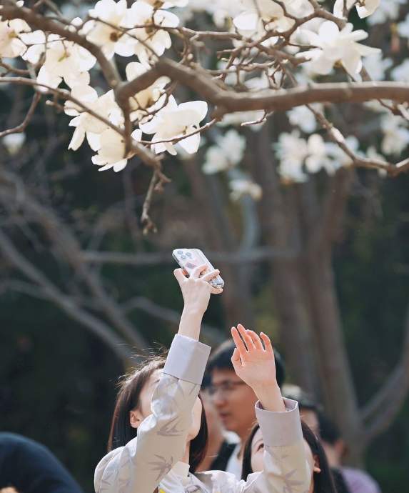 济南百花公园里，市民游客化身摄影师拍出最美春天