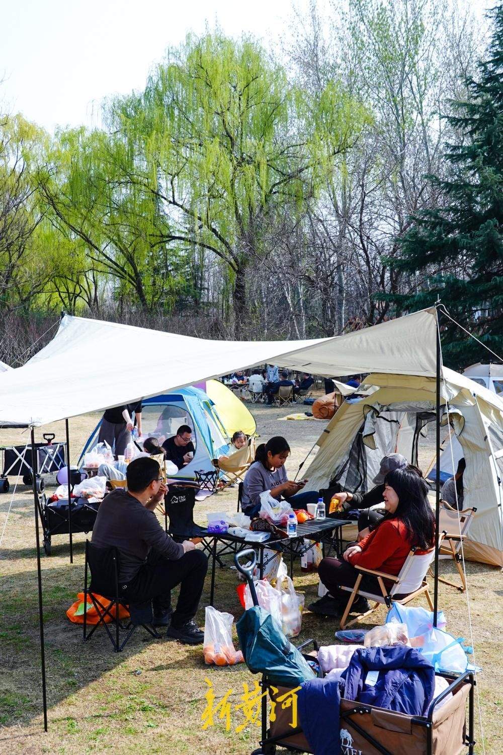 暖阳高照春意满，济南森林公园变身“帐篷乐园”