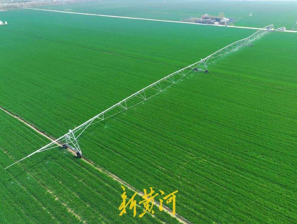 麦田里的“黑科技”，立体式春灌助力小麦春耕春管