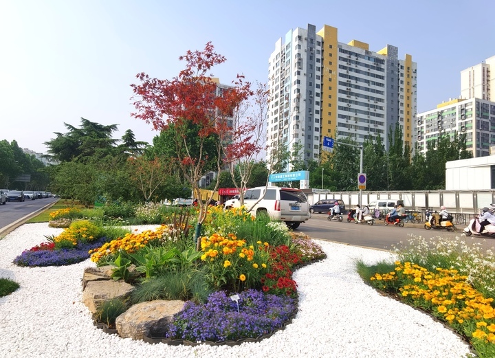 济南>济南社会>此外,在阳光新路与建宁路路口,利用道路中央绿化带端头