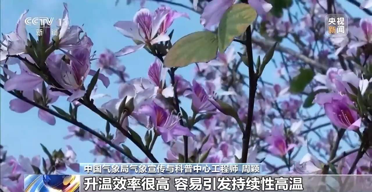 华南多地局地气温超40℃ 