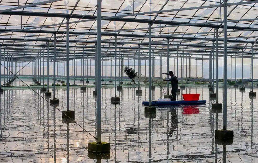 习近平的两会时间丨加快建设宜居宜业和美乡村