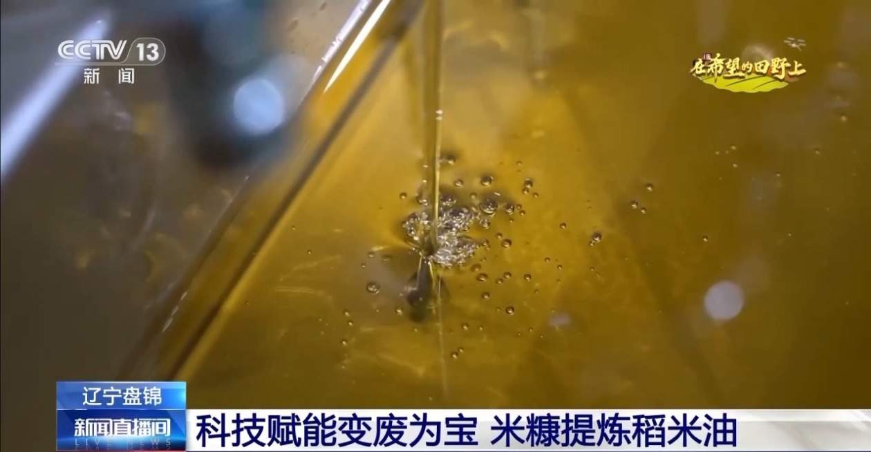 秋粮丰收在望 10月的神州大地是金色的